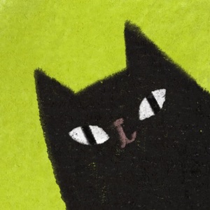 椅子上有猫