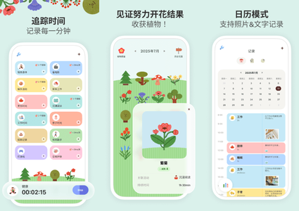 时间荚